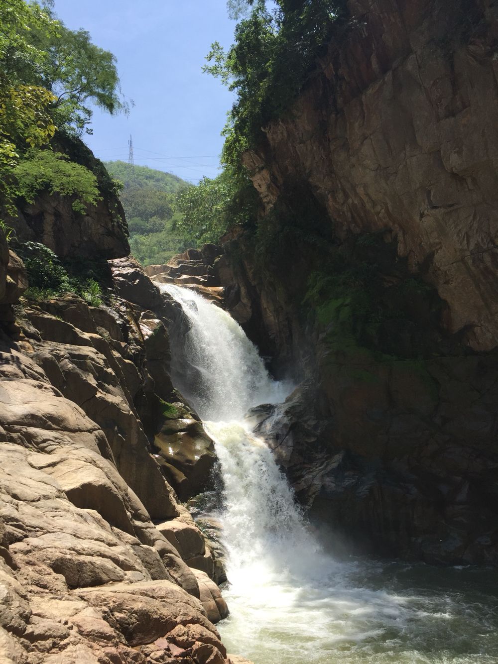 Colima