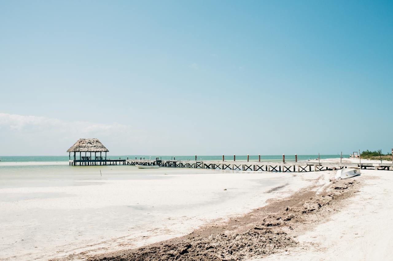 Isla Holbox y Tiburón Ballena — Expedición Privada Premium