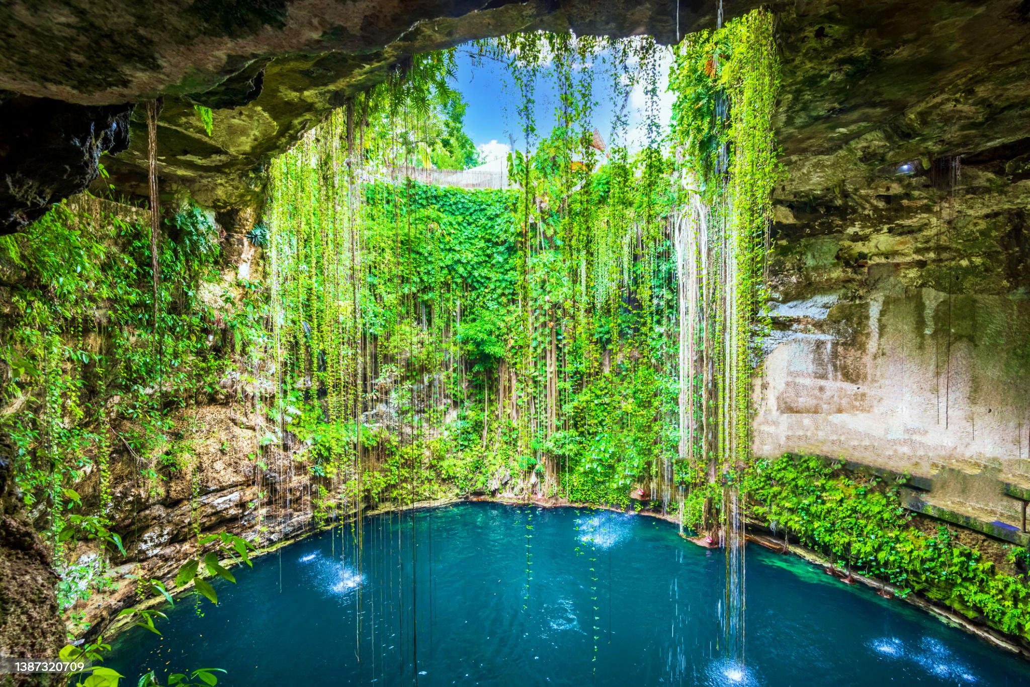 Cenotes Sagrados de Yucatán — Experiencia Esencial (grupo compartido)