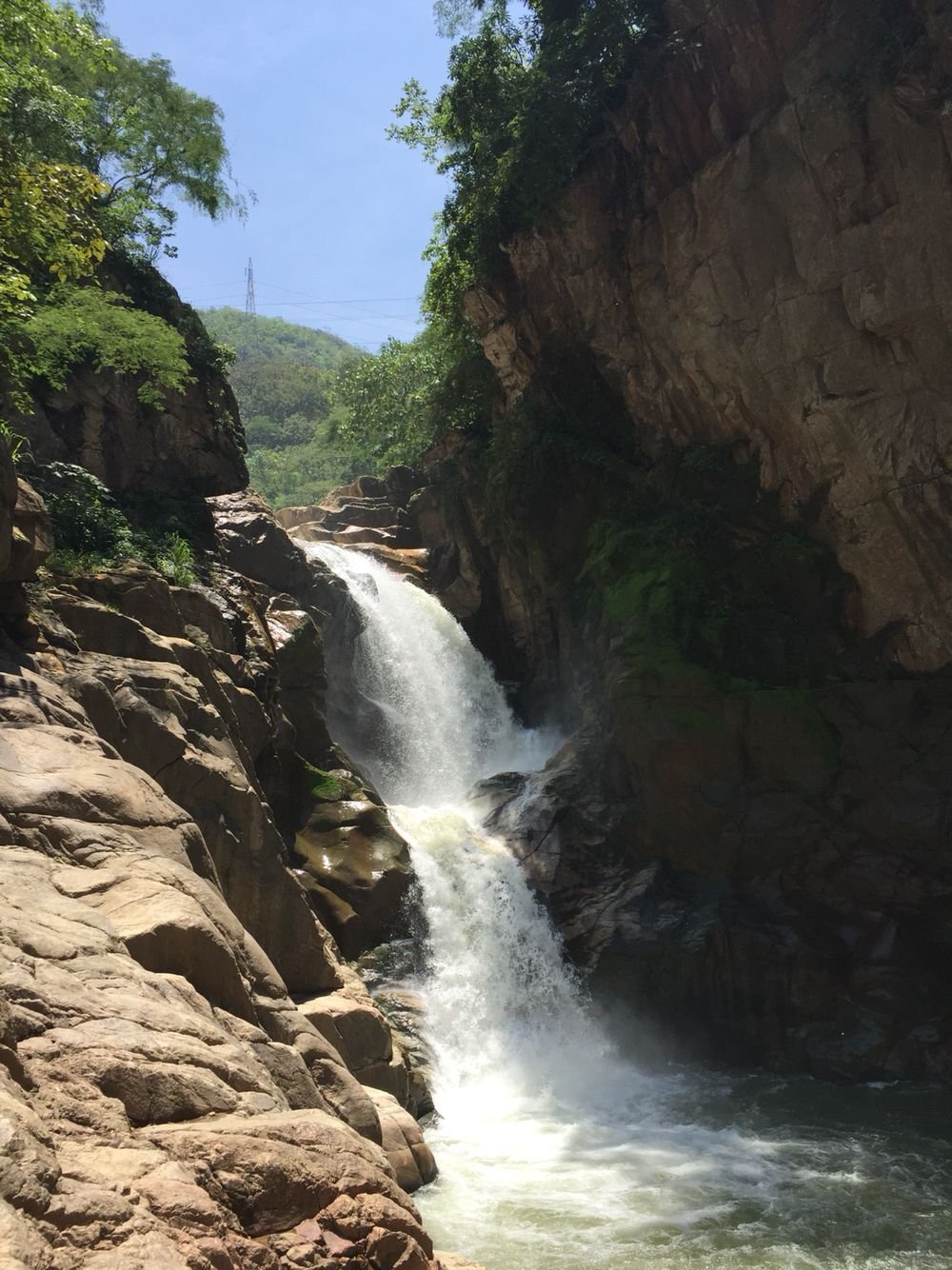 Cascada de Basaseachi y bosque