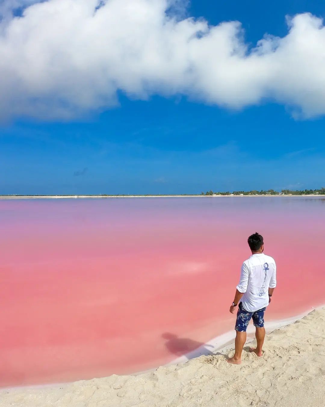 Las Coloradas + Río Lagartos: flamencos y costas de colores