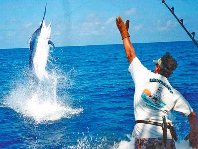Tour pesca de altura en Holbox. Saliendo desde tu hotel.