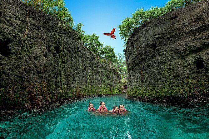 Tour a parque Xcaret versión plus todo incluido con transporte, saliendo desde la ciudad de Cancún