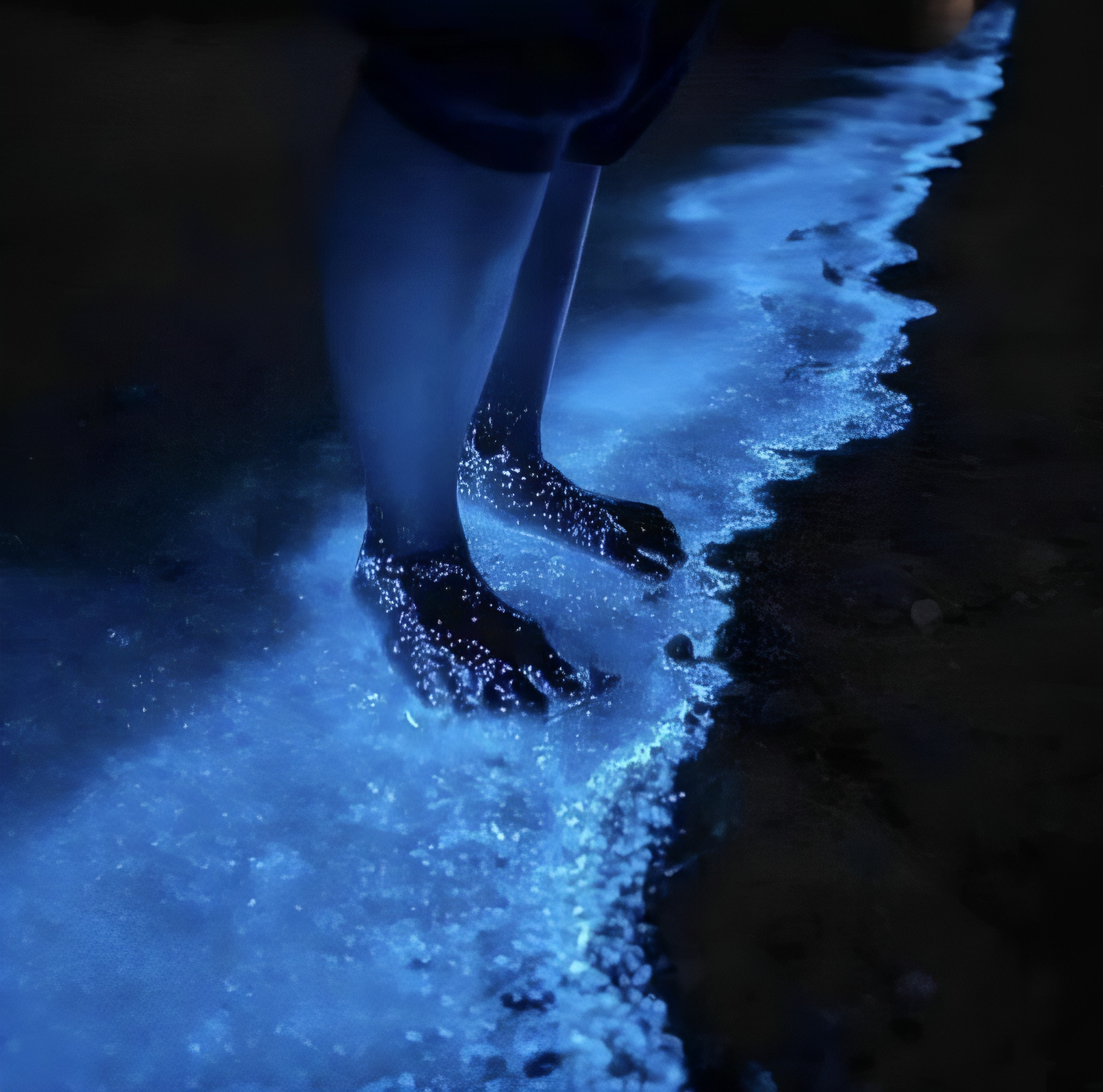 Tour nocturno de bioluminiscencia en Oaxaca. Saliendo desde tu hotel en Puerto Escondido.