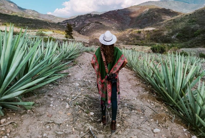 Tour del Mezcal. Saliendo desde tu hotel en el centro de Oaxaca.
