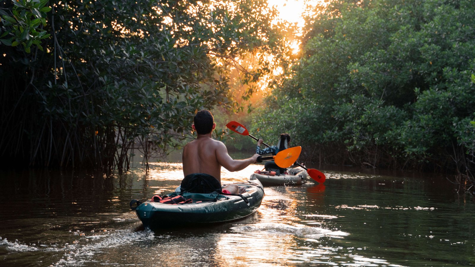 Tour por los manglares de Campeche en Kayak. Saliendo desde Campeche